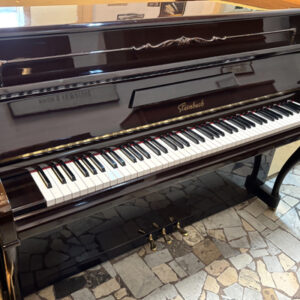 STEINBACH 112 MOGANO CHIPPENDALE