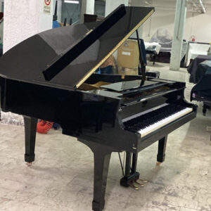 YAMAHA G1